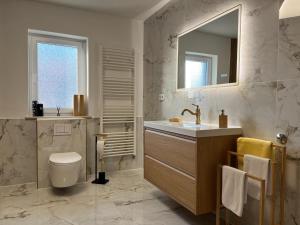 ein Badezimmer mit Waschbecken, Toilette und Spiegel in der Unterkunft Filuma Suite - Riverside Terrace on Gacka River in Otočac + 34 Fotos