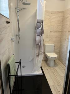 a bathroom with a shower and a toilet at Letnia Oaza "Forsycja" in Sobienie Jeziory +24 photos
