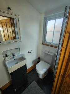 a bathroom with a toilet and a sink and a mirror at Bumble Bee Cabin in Bootle