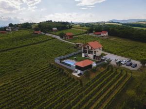 an aerial view of a house in the middle of a field at Private Vineyard Villa with Heated Pool, Spa & BBQ by Destination GREEN Croatia in Velika