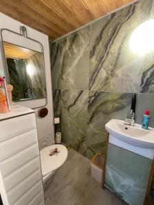 a bathroom with a sink and a mirror at U Sovičky in Olešník