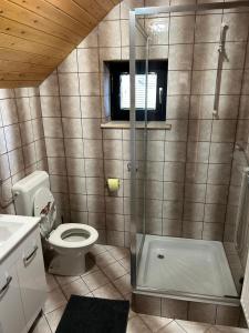a bathroom with a shower and a toilet and a sink at Chalet Rozika Rogla in Zreče +13 photos