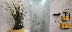 a bathroom with a shower and a vase with a plant at Apartament 39 in Lublin +183 photos
