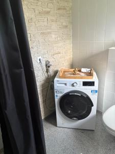 a washing machine in a bathroom with a toilet at Appartementshaus Vlora 1 Einheit 2 in Bad Füssing