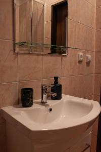 a white sink in a bathroom with a mirror at Ubytování 1kk ve Zlonicích in Slaný +4 photos