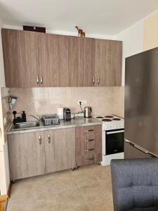 a kitchen with wooden cabinets and a sink and a stove at Apartman JOVANA in Dušanovac (historical)