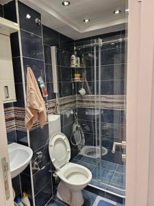 a bathroom with a shower and a toilet and a sink at Apartman JOVANA in Dušanovac (historical) +13 photos