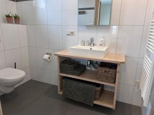 a bathroom with a sink and a toilet at 't lant van Texsel in De Koog +42 photos