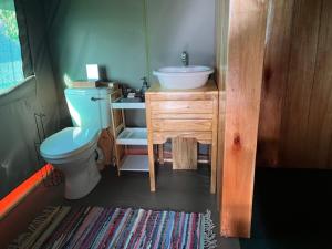 a bathroom with a blue toilet and a sink at The Termite Mound - Termite Tented in Khwai