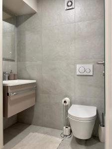 a bathroom with a toilet and a sink at The View in Motovun +26 photos