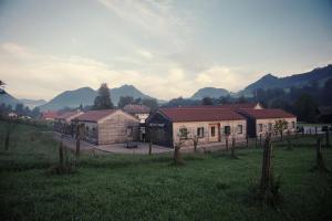 a group of buildings in a field with mountains in the background at Apartmentdorf Flößerstube in Grossraming