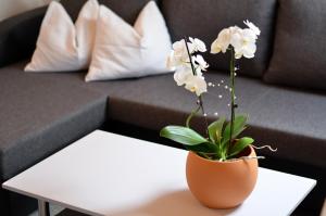 Posezení v ubytování Appartements Mantinger