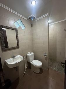 a bathroom with a toilet and a sink at Ariartha homestay in Ubud +14 photos