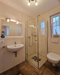 a bathroom with a shower and a toilet and a sink at Strandstr_ in Zingst +16 photos