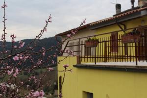 a yellow building with two balconies and a tree with pink flowers at Il silenzio delle colline Umbre - Vicino Todi in Todi