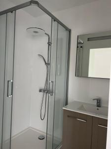 a bathroom with a glass shower and a sink at L'Arsenal Loft in Couvin