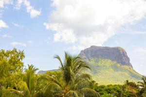 a mountain in the distance with palm trees in front of it at ELYMUS - Spacious 3-Bedroom Apartment With Private Rooftop and Balcony - Near Le Morne And Lagoon in La Gaulette