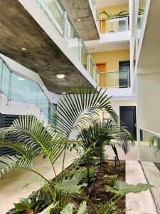a courtyard with plants in a building at SunRise in Santa Maria