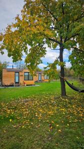 a hammock is tied to a tree in a yard at Retezat83 Sunshine tiny home , adults only in Râu de Mori