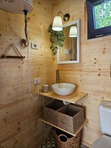 a bathroom with a sink in a wooden wall at Retezat83 Sunshine tiny home , adults only in Râu de Mori