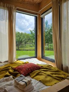 a bedroom with a bed with a large window at Retezat83 Sunshine tiny home , adults only in Râu de Mori +10 photos