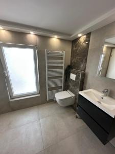 a bathroom with a sink and a toilet and a window at LaTerrazzaA1 in Hamm +17 photos