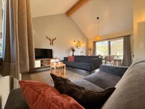 a living room with a couch and a tv at Bois de l'Ourthe 202 in Somme-Leuze