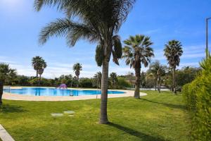 a palm tree in a park with a swimming pool at Casinha de Galveias in Galveias