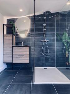 a bathroom with a shower and a sink at La bulle des Viennes MAISON CLIMATISEE - CHAMPAGNE in Sainte-Savine +23 photos