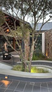 a building with a tree in front of a building at Elara in Sandton +7 photos