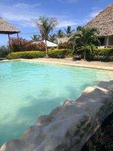 a swimming pool at a resort with blue water at Kokopelli Bungalows in Nungwi