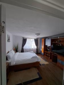 a bedroom with a large bed and a television at Harmony house in Buziaş