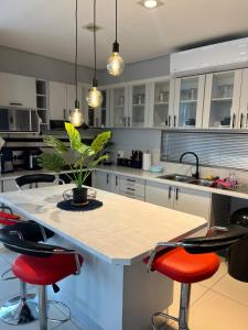 a kitchen with a island with a potted plant on it at 51 Lazarett Loft & Car Rental in Windhoek