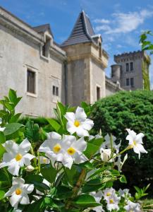 a bunch of white flowers in front of a building at Château de Fontager in Serves-sur-Rhône +22 photos