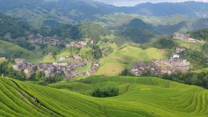 a green hillside with a village in the middle at 素隐乡宿Hometown Destination红瑶吊脚楼 观景民宿 in Heping +13 photos