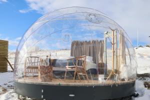 a glass dome with two chairs and a couch in it at Aurora Igloo North in Hvammstangi