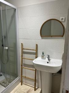 a bathroom with a sink and a shower and a mirror at Studio proche vieux port in Marseille