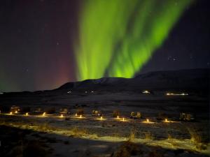 an image of the aurora in the sky with a bunch of lights at Aurora Igloo North in Hvammstangi +29 photos