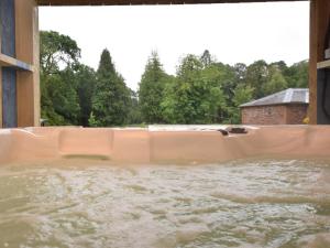 a water slide in a swimming pool with water at 3 Bed in Annan oc-75355 in Annan