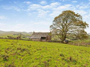an old house in a field with a tree at 3 Bed in Penrith oc-93379 in Orton