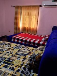 a bedroom with a bed with a checkered blanket at Aduniniyi 7 Shines in Igando