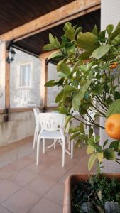 a patio with two white chairs and an orange tree at La casa del tulipano in Bernalda +25 photos