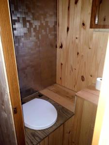 a small bathroom with a toilet in a shower at #5 Le Repère Aux Corbeaux in Saint-Onésime