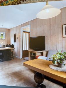 a living room with a flat screen tv and a table at Fjellhytte Rauland in Austbø