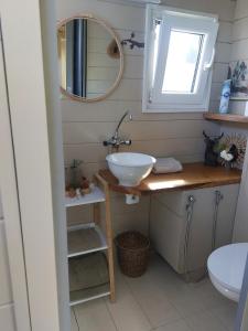 a bathroom with a sink and a mirror at Knus Tiny house 2 pers rust natuur en privacy in Borger +18 photos