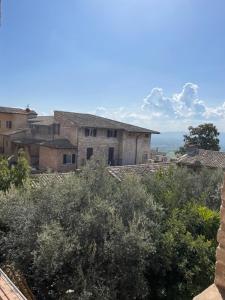 a view from the roof of a building with trees at Arcangelo SUITE in Assisi
