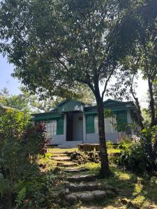 a house with a tree in front of it at Verde Guest House in Shillong