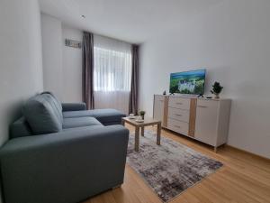 a living room with a couch and a tv at Rin Elegance Apartament in Bucharest