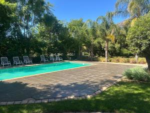 a swimming pool in a yard with chairs and trees at SPAat343 in Roodeplaat +17 photos