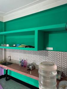 a kitchen with green walls and a counter with a sink at Zen Garden Homestay in Jorhat